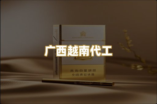 广西越南代工